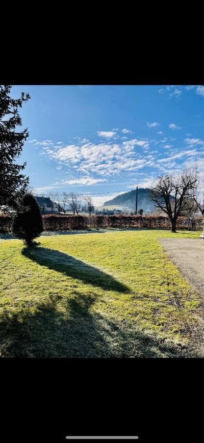 Appartement En Rez-De-Jardin Autrans-Meaudre-en-Vercors Exterior foto